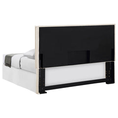 Izzy Grey Queen / Full Headboard - MyWaynesHome #