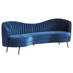 Sophia Blue 2 Pc Sofa Set - MyWaynesHome #