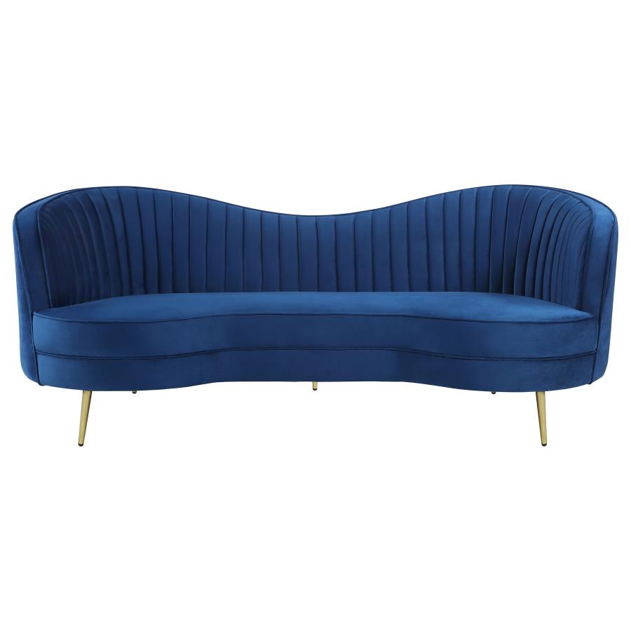 Sophia Blue 2 Pc Sofa Set - MyWaynesHome #