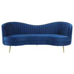 Sophia Blue 2 Pc Sofa Set - MyWaynesHome #