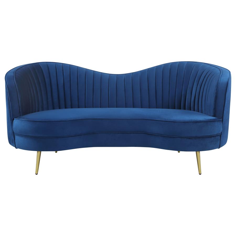 Sophia Blue 2 Pc Sofa Set - MyWaynesHome #