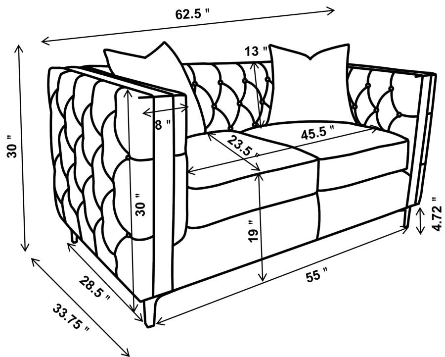 Phoebe Grey 2 Pc Sofa Set - MyWaynesHome #