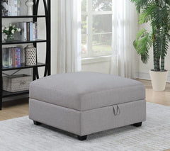 Cambria Grey Storage Ottoman - MyWaynesHome #