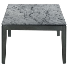 Mozzi Grey Coffee Table - MyWaynesHome #