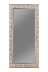 Rollins Silver Floor Mirror - MyWaynesHome #