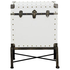 Nancy White Accent Cabinet - MyWaynesHome #