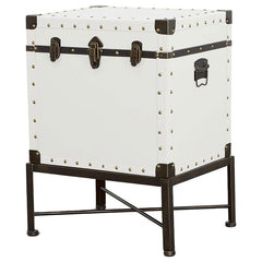 Nancy White Accent Cabinet - MyWaynesHome #