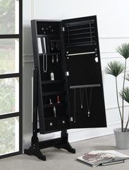 Tutuola Black Jewelry Cheval Mirror - MyWaynesHome #