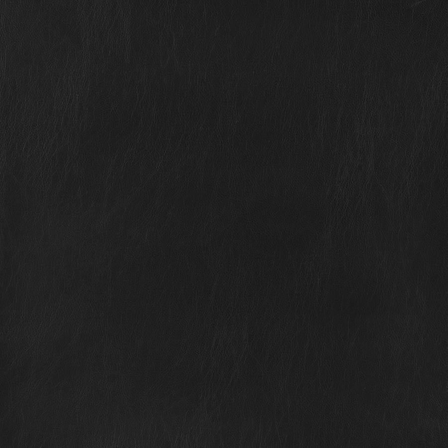 Julio Black Accent Chair - MyWaynesHome #