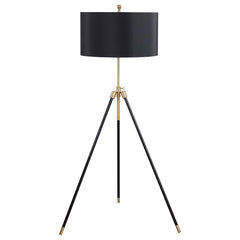 Zabka Black Floor Lamp - MyWaynesHome #
