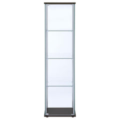 Bellatrix Brown Curio Cabinet - MyWaynesHome #