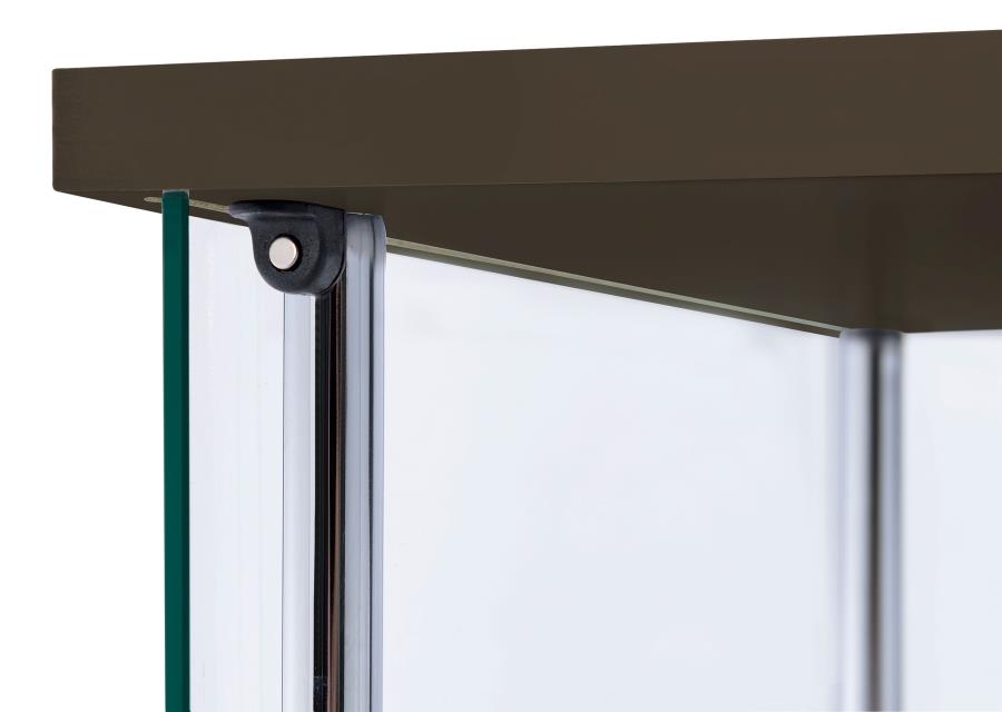 Bellatrix Brown Curio Cabinet - MyWaynesHome #
