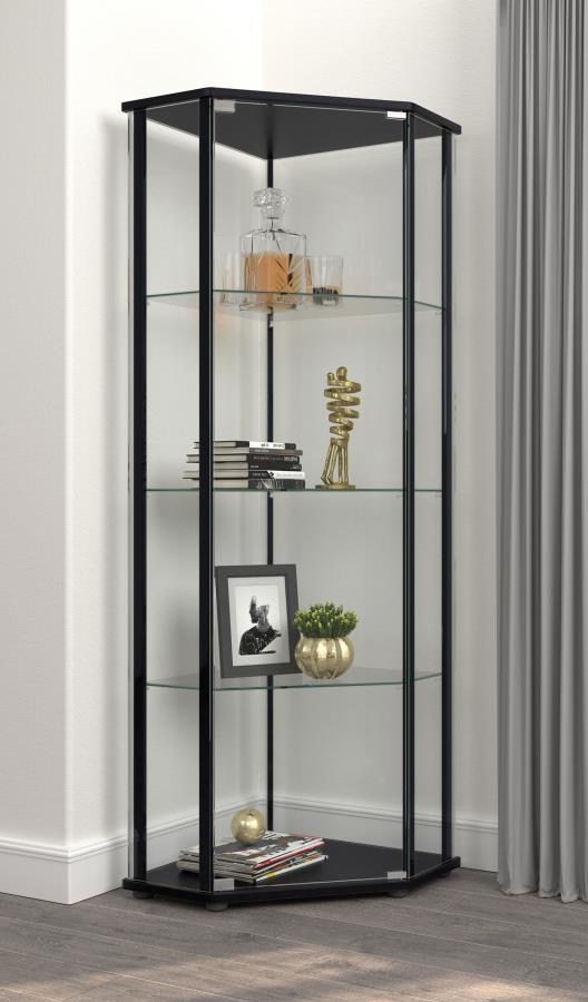 Zenobia Black Curio Cabinet - MyWaynesHome #