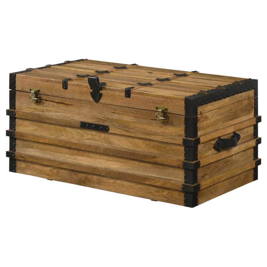 Simmons Brown Storage Trunk - MyWaynesHome #