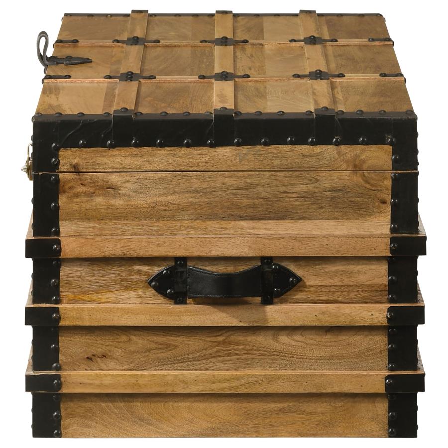 Simmons Brown Storage Trunk - MyWaynesHome #