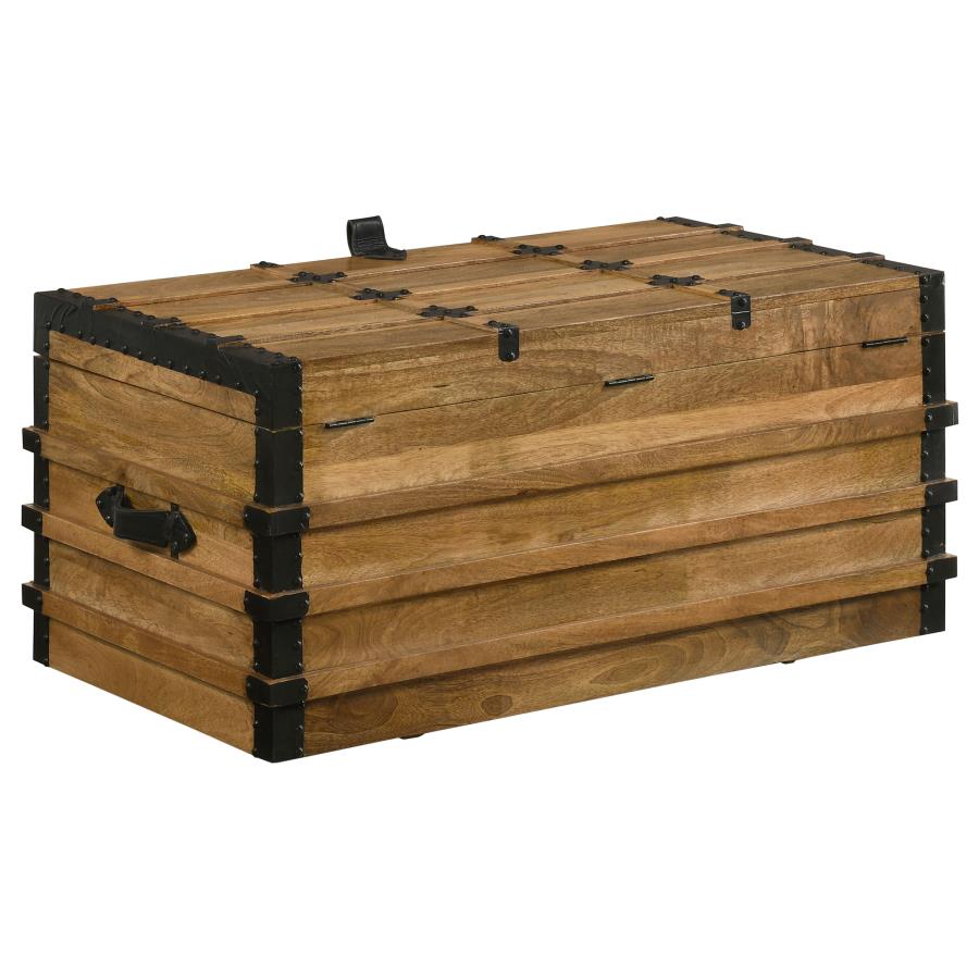 Simmons Brown Storage Trunk - MyWaynesHome #