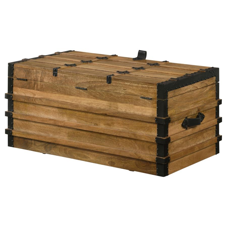 Simmons Brown Storage Trunk - MyWaynesHome #