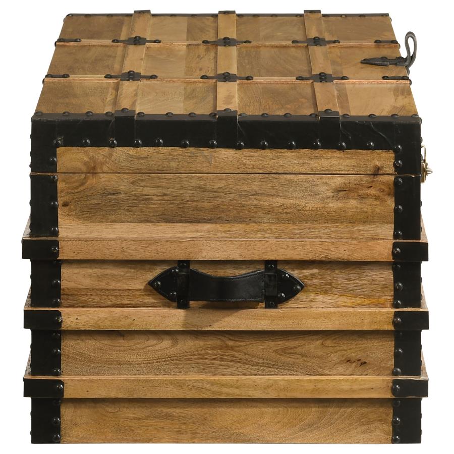 Simmons Brown Storage Trunk - MyWaynesHome #