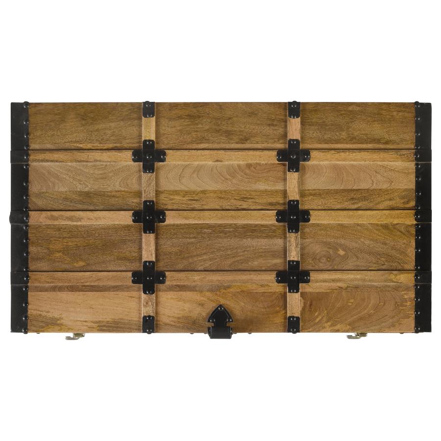 Simmons Brown Storage Trunk - MyWaynesHome #