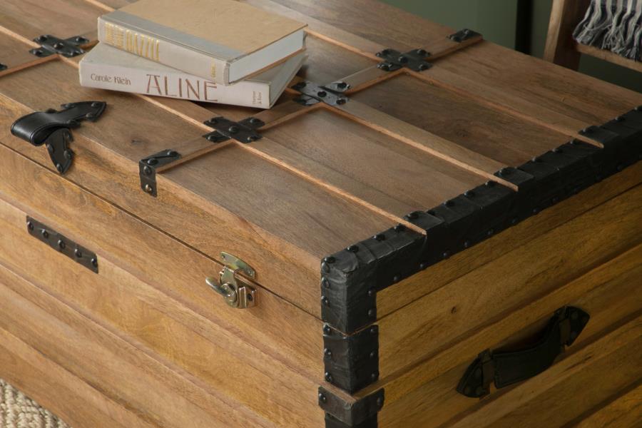 Simmons Brown Storage Trunk - MyWaynesHome #