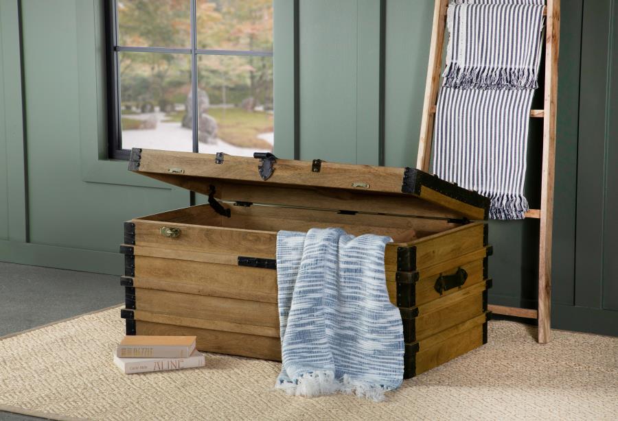 Simmons Brown Storage Trunk - MyWaynesHome #