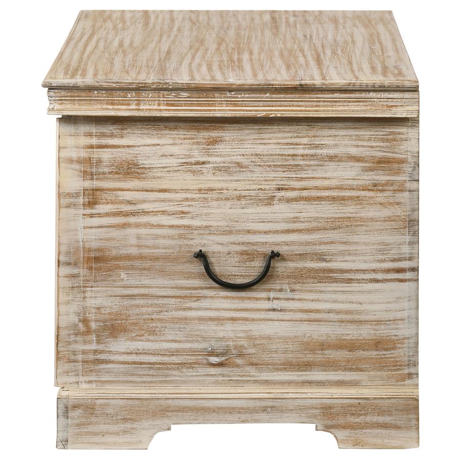 Nilay Brown Storage Trunk - MyWaynesHome #