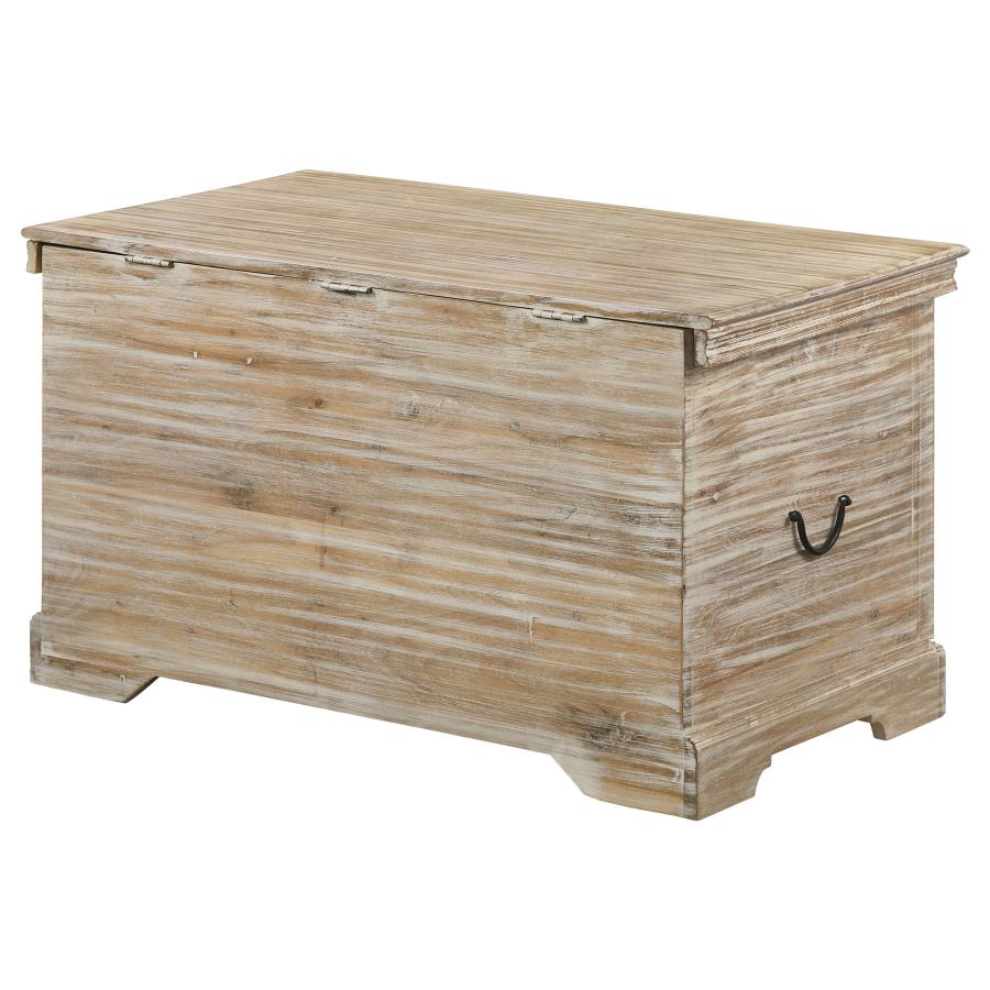 Nilay Brown Storage Trunk - MyWaynesHome #