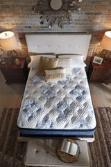Mt Dana Euro Top Queen Mattress with Head-Foot Model Better Queen Adjustable Base - MyWaynesHome #